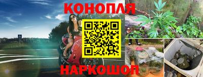 каннабис Новокубанск