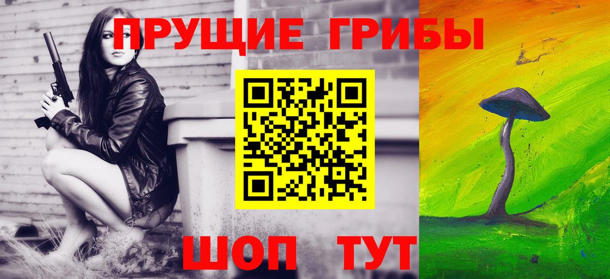 Псилоцибиновые грибы Psilocybe  Вход с VPN  Анжеро-Судженск 